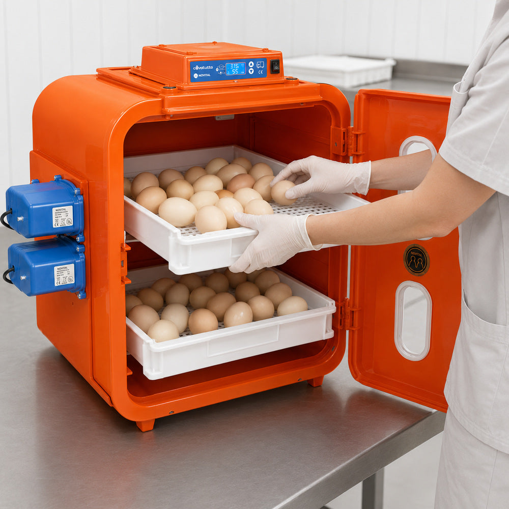 Kerbl Novital Digital Automatic Egg Incubator for Hatching Chicken Turkey Goose Partridge Quail Fowl Eggs, Poultry Hatcher, Covatutto 108 (Made in Italy)