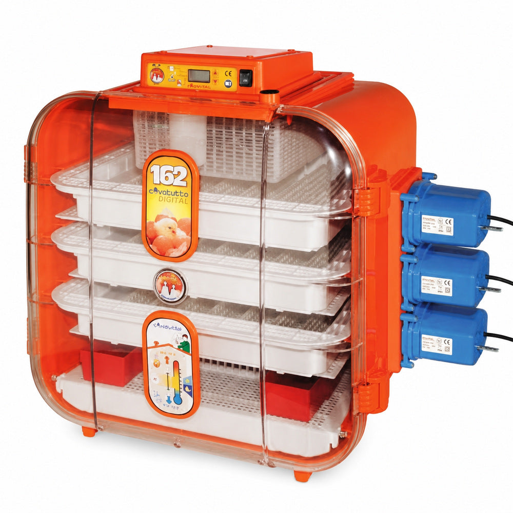 Kerbl Novital 162 eggs Full Automatic Egg Incubator for Hatching Eggs with Digital Thermometer, Poultry Hatcher, Made in ITALY, Your Local UAE Distributor