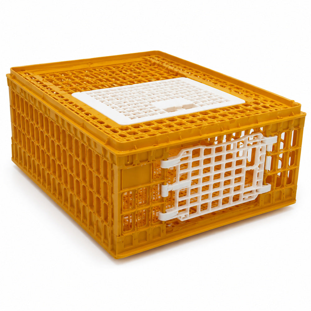 Giordano Bird Cage for Chicken and other Similar Birds, Two Door, 77x57x29 cm (Made in Italy)