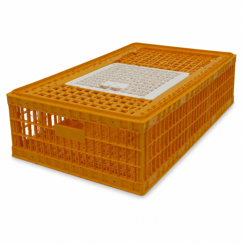 Giordano Bird Cage for Chicken and other Similar Birds, Piedmont Coop, One Door, 97x58x27 cm (Made in Italy)