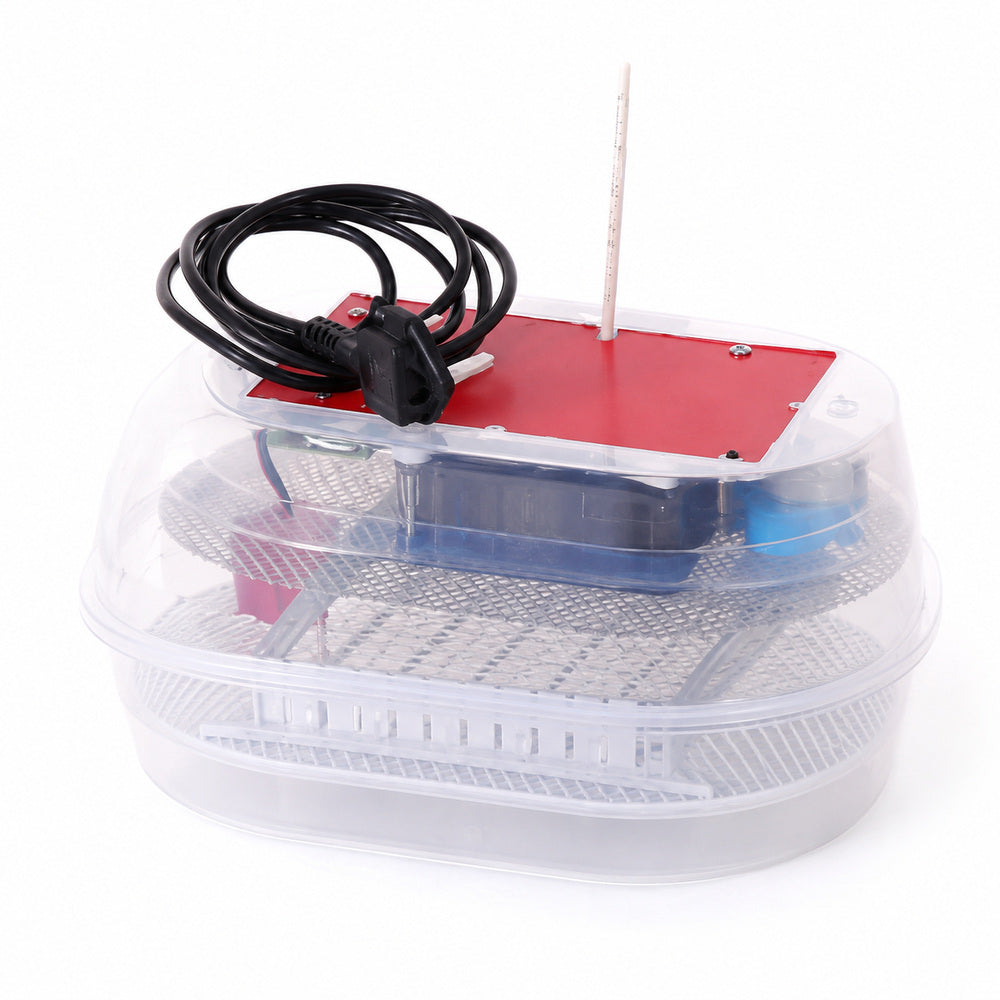Maino Incubator (12 Eggs Capacity)