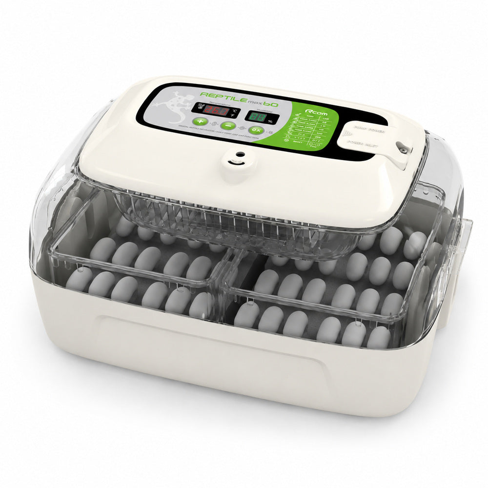 Rcom Reptile Incubator (60 Max)