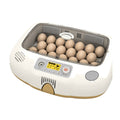 Rcom Automatic Egg Incubator for Hatching Eggs with Automatic Temperature Control, Humidity Sensor, PX-20-DO (Made in Korea)