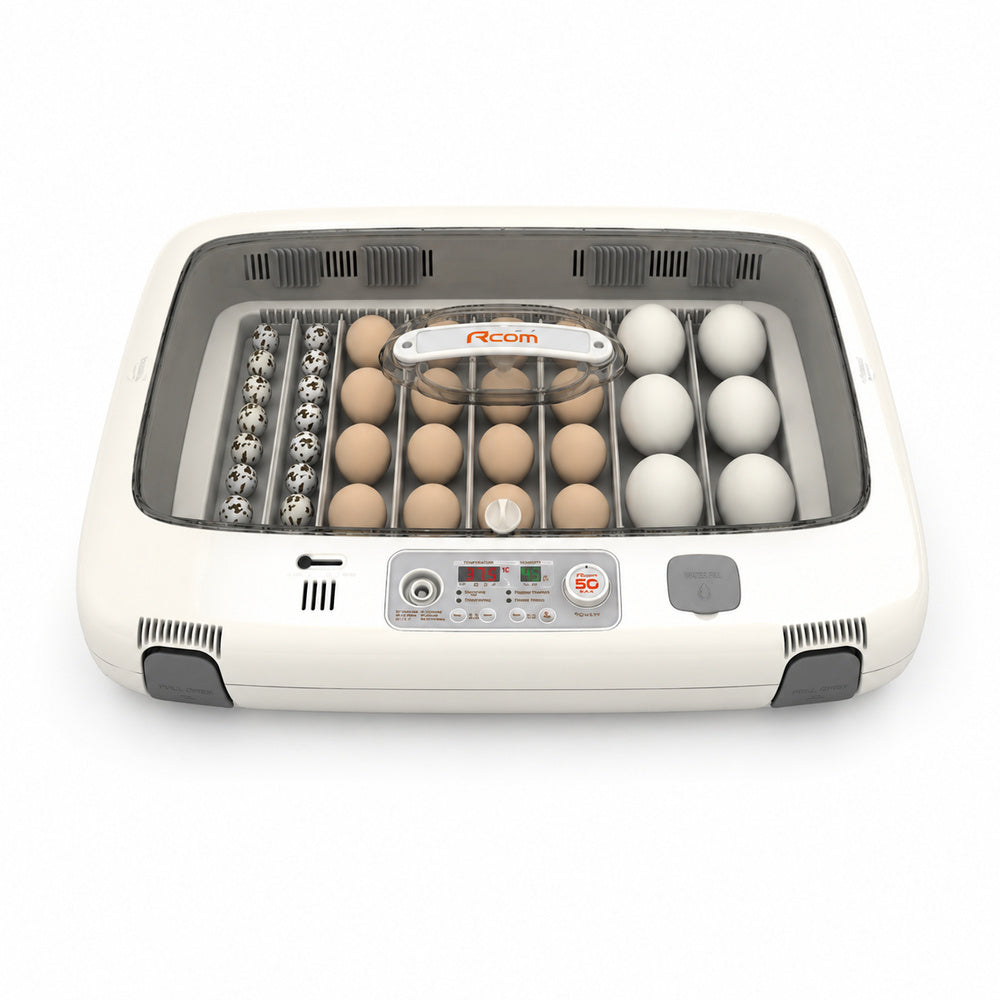 Rcom Full Automatic Egg Incubator, Poultry Hatcher, MX-50 DO (Made in Korea)