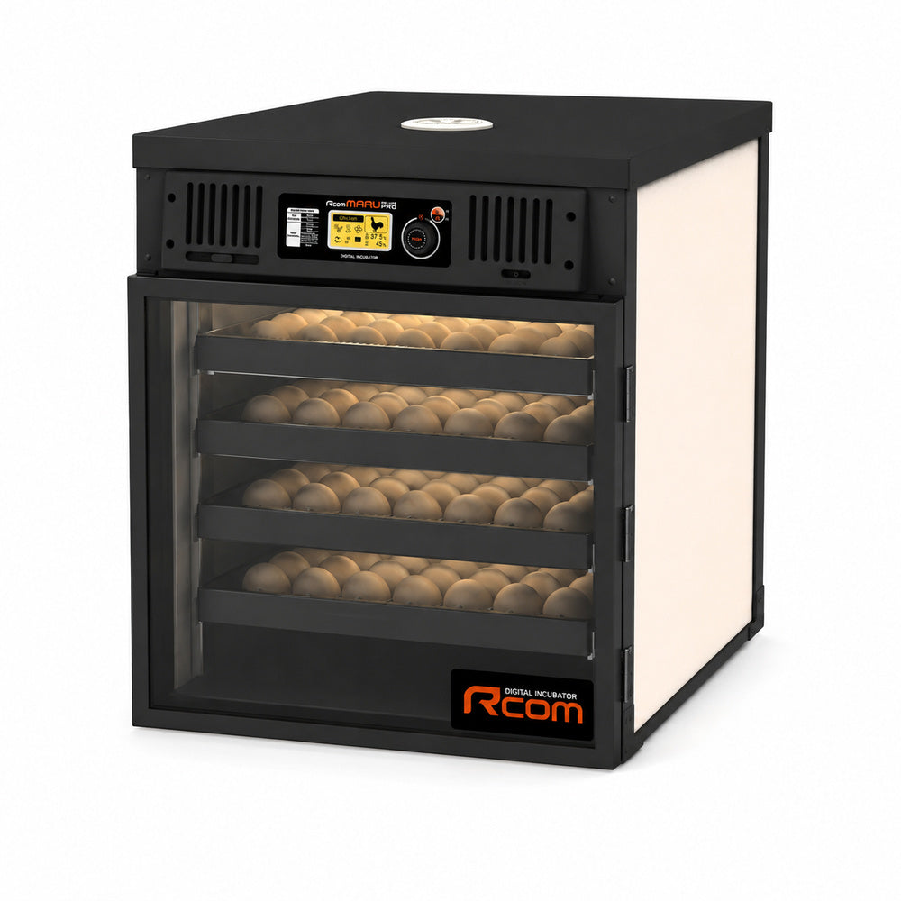 Rcom MARU Incubator Deluxe Pro, PX-200SD (Made in Korea)