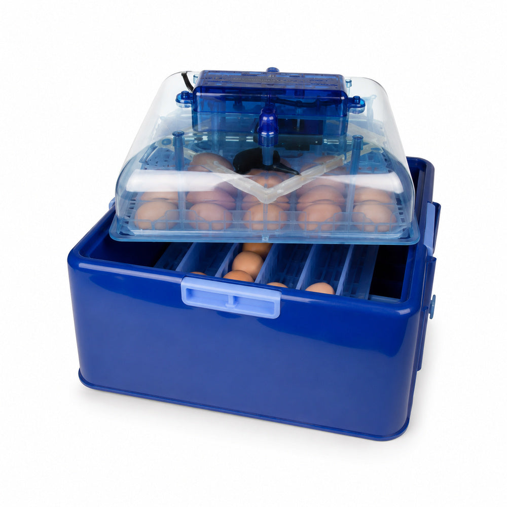 Corti 25 Eggs Automatic Incubator