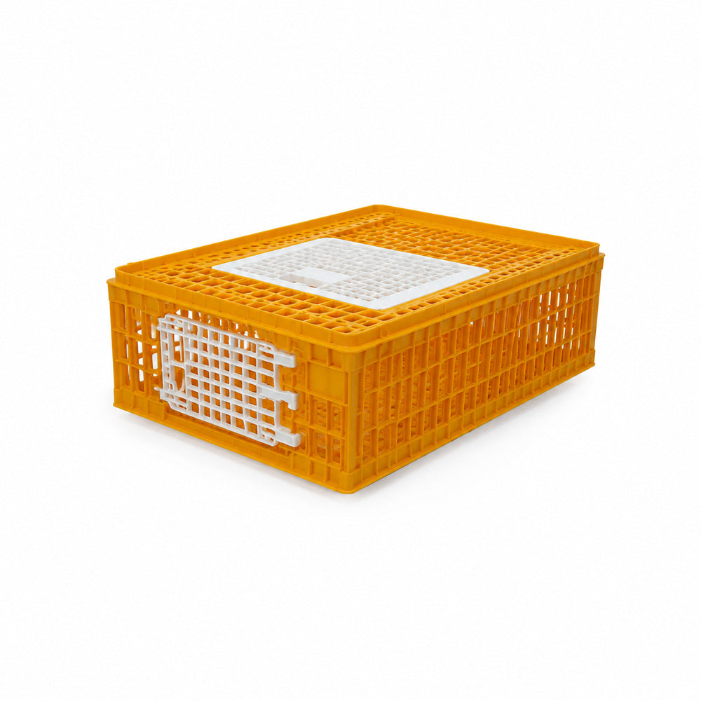 Giordano Bird Cage for Chicken and other Similar Birds, Two Door, 77x57x29 cm (Made in Italy)