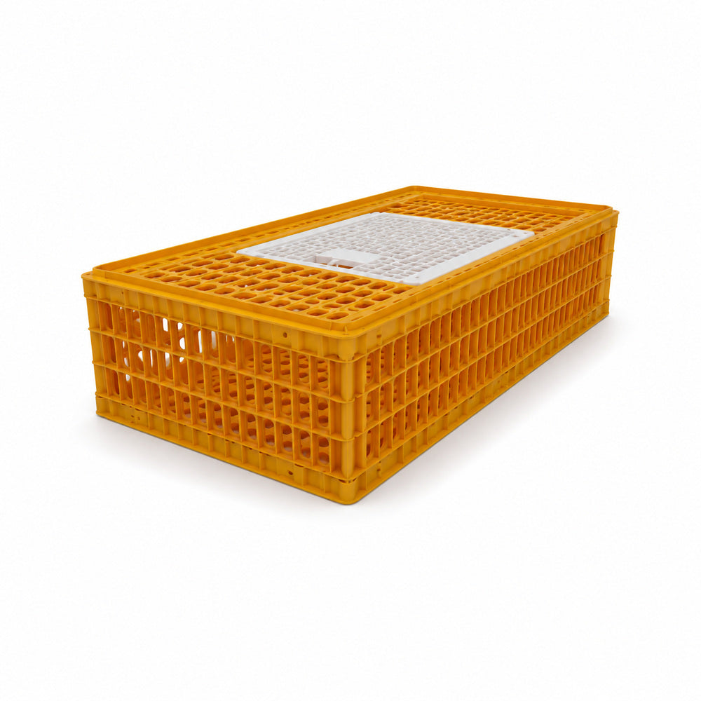 Giordano Bird Cage for Chicken and other Similar Birds, Piedmont Coop, One Door, 97x58x27 cm (Made in Italy)