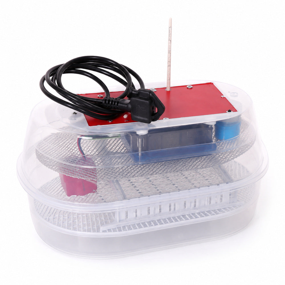 Maino Incubator (12 Eggs Capacity)