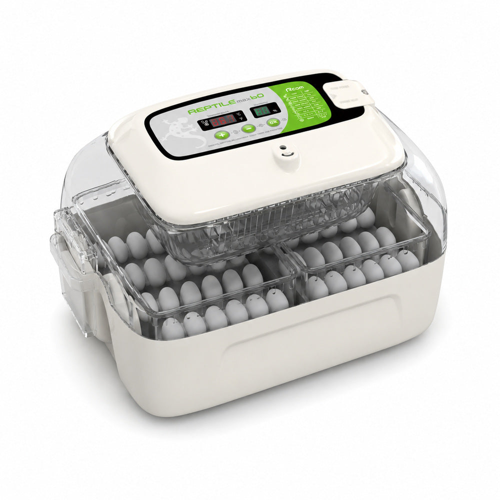 Rcom Reptile Incubator (60 Max)