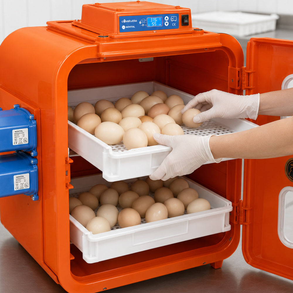 Kerbl Novital Digital Automatic Egg Incubator for Hatching Chicken Turkey Goose Partridge Quail Fowl Eggs, Poultry Hatcher, Covatutto 108 (Made in Italy)