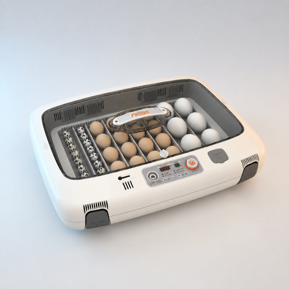 Rcom Full Automatic Egg Incubator, Poultry Hatcher, MX-50 DO (Made in Korea)