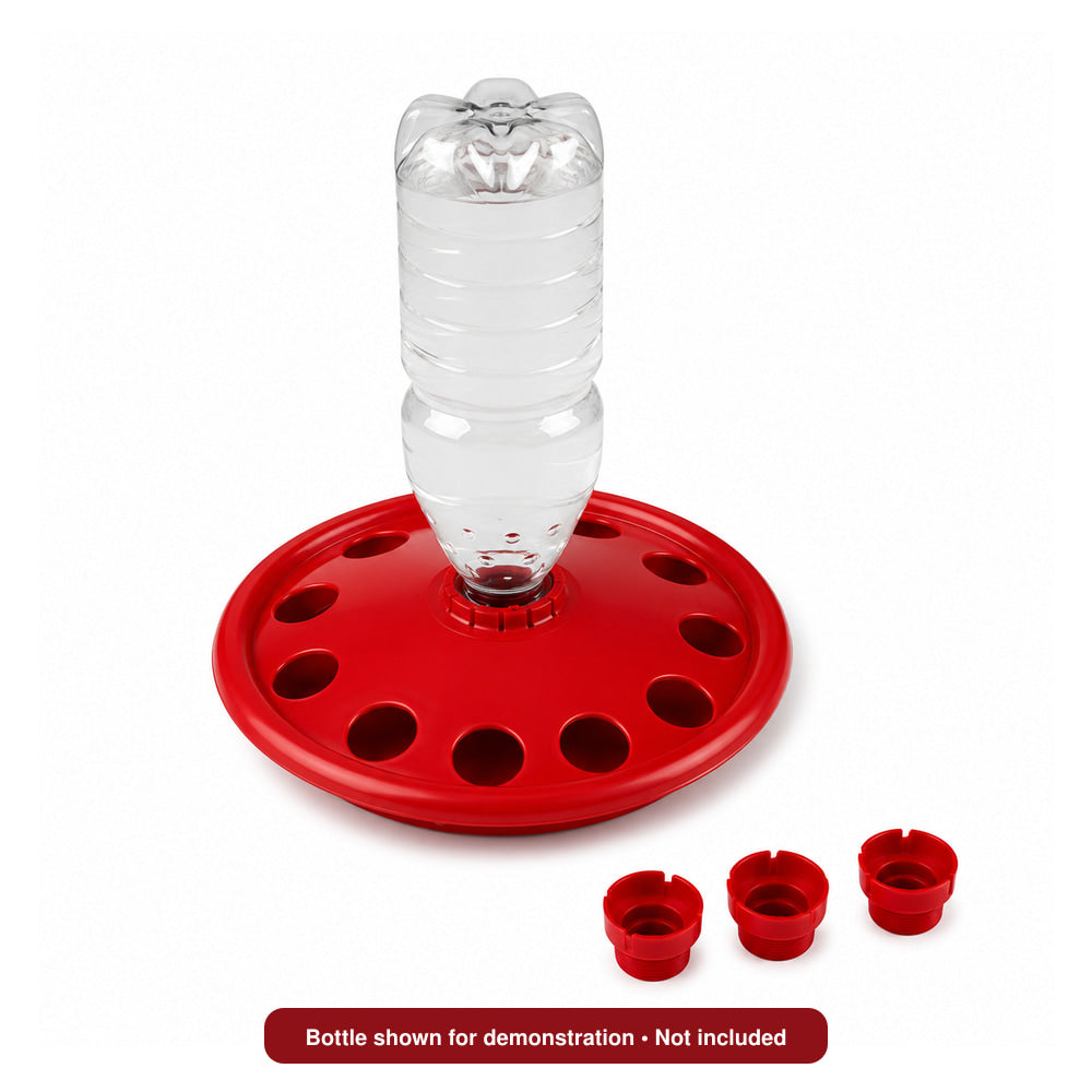 River Disc Bottle Holder Drinker for Chicks