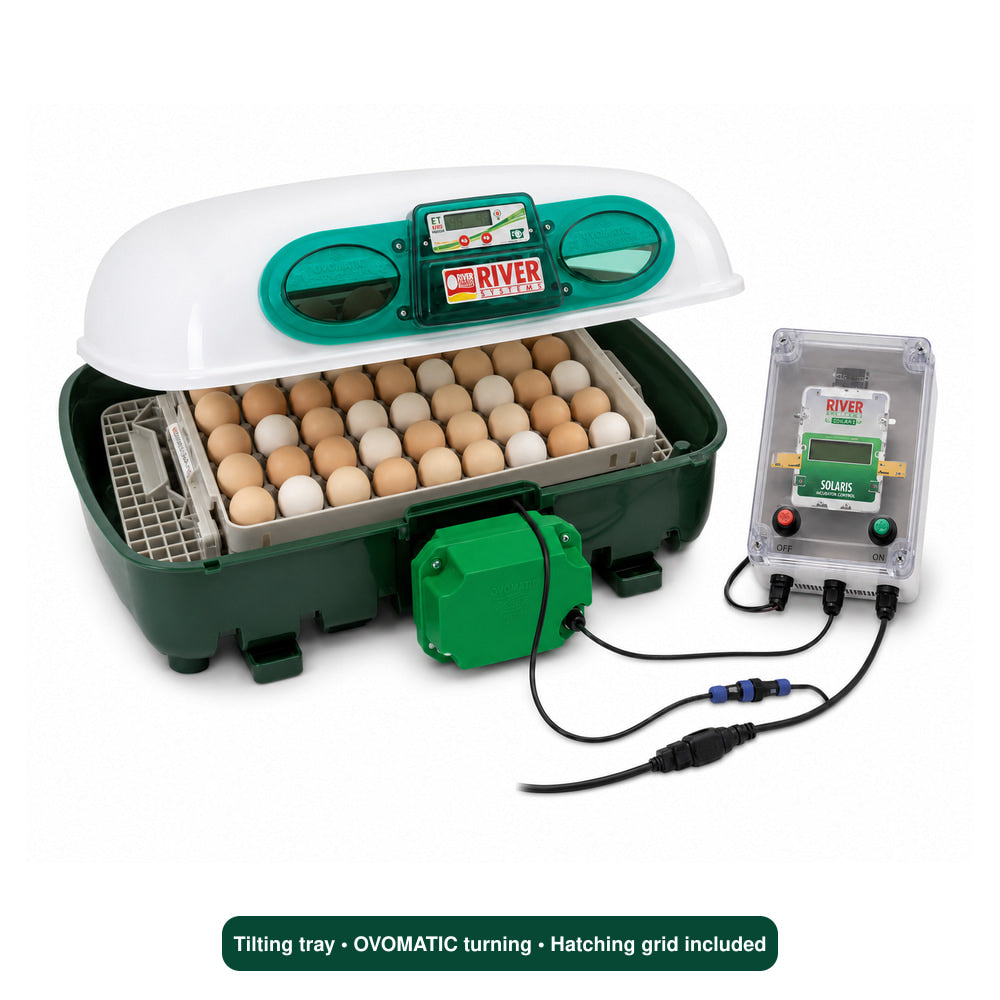 River Solar Incubator Digital 49 Eggs, Automatic Eggtech ET- Solaris Incubator, With Ovolvo Egg Turning Unit And Control Panel(Made in Italy)