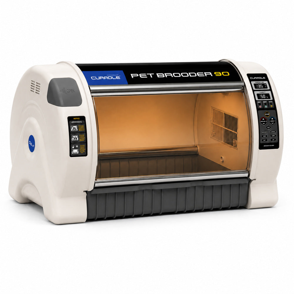 RCOM CURADLE Large PET Brooder Nursery MX-B90 N, Made in Korea (Your Local UAE Distributor)