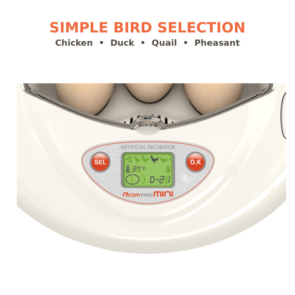 Rcom Mini PRO Incubator (PX-03) (Made in Korea)