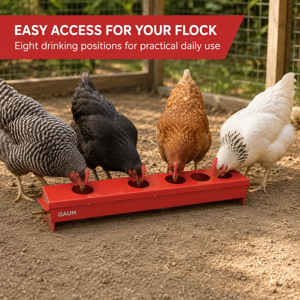 Gaun Drinker for Chicken with 8 holes 50cm (Made in Spain)