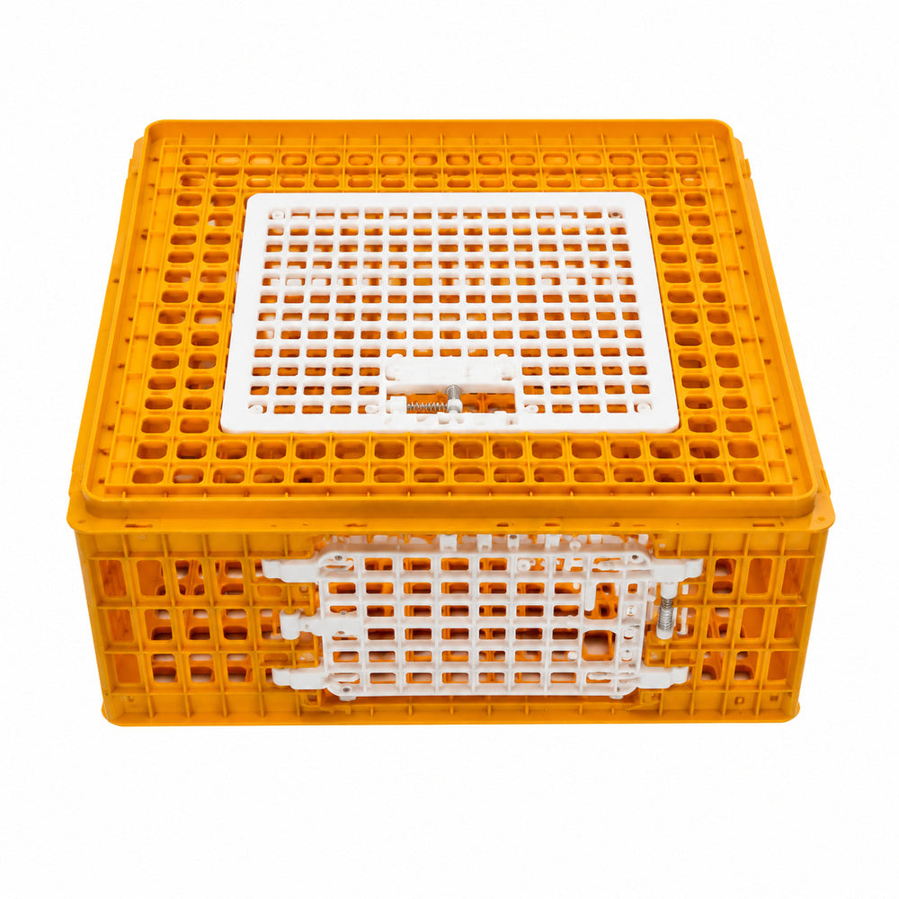 Giordano Bird Cage for Chicken and other Similar Birds, Two Door, 77x57x29 cm (Made in Italy)