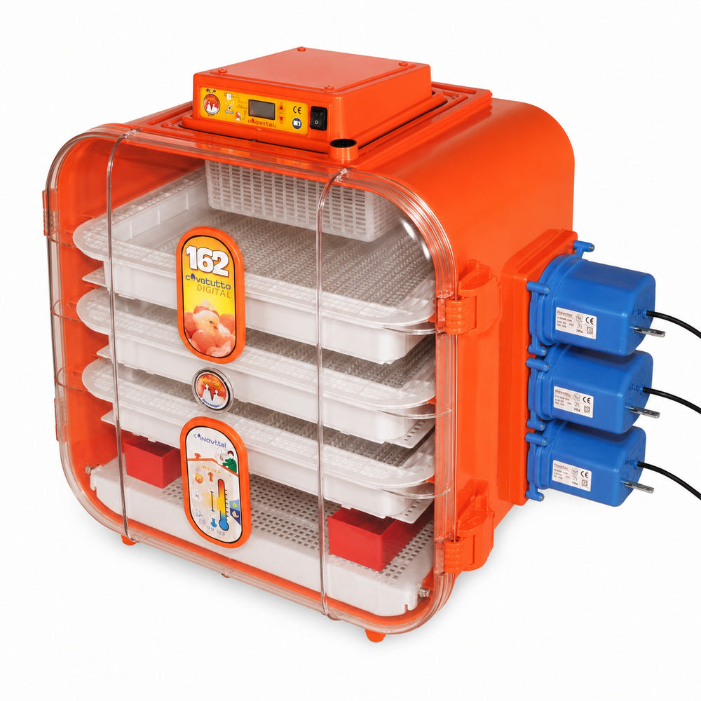 Kerbl Novital 162 eggs Full Automatic Egg Incubator for Hatching Eggs with Digital Thermometer, Poultry Hatcher, Made in ITALY, Your Local UAE Distributor