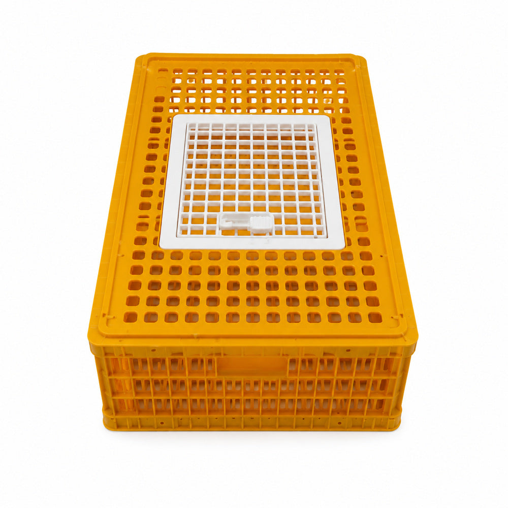 Giordano Bird Cage for Chicken and other Similar Birds, Piedmont Coop, One Door, 97x58x27 cm (Made in Italy)