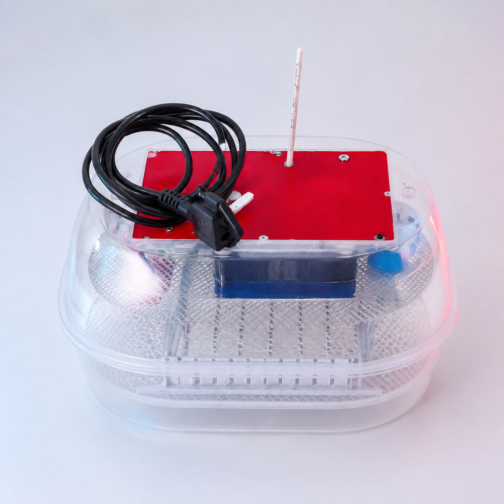 Maino Incubator (12 Eggs Capacity)