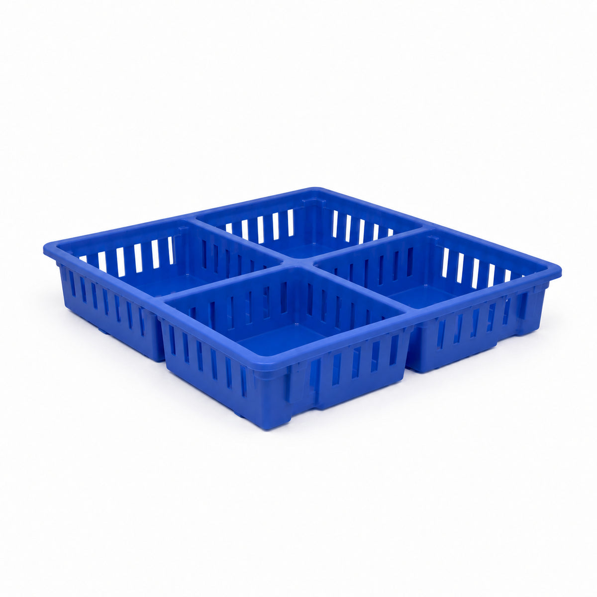 Giordano Excellent ventilation, HD polyethylene chick box with four Compartments (Made in Italy)