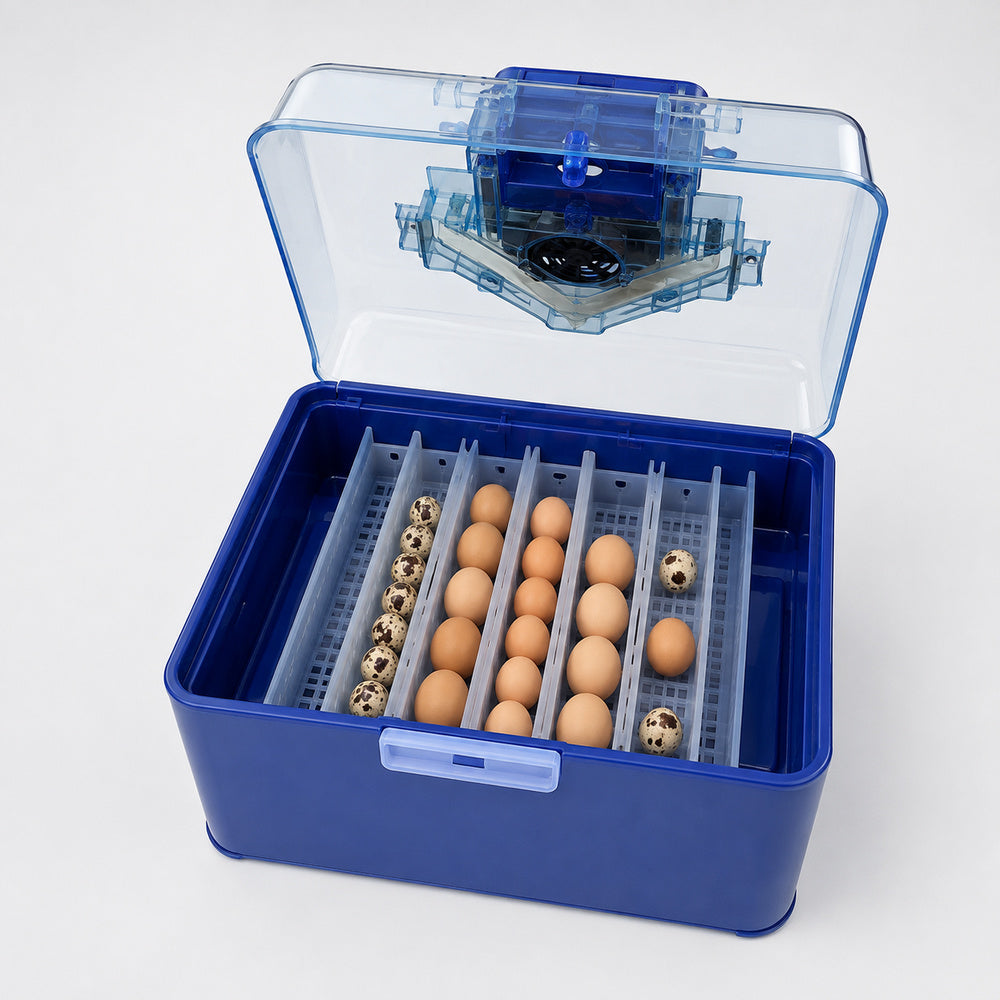 Corti 25 Eggs Automatic Incubator