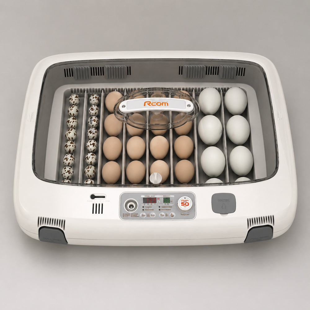 Rcom Full Automatic Egg Incubator, Poultry Hatcher, MX-50 DO (Made in Korea)