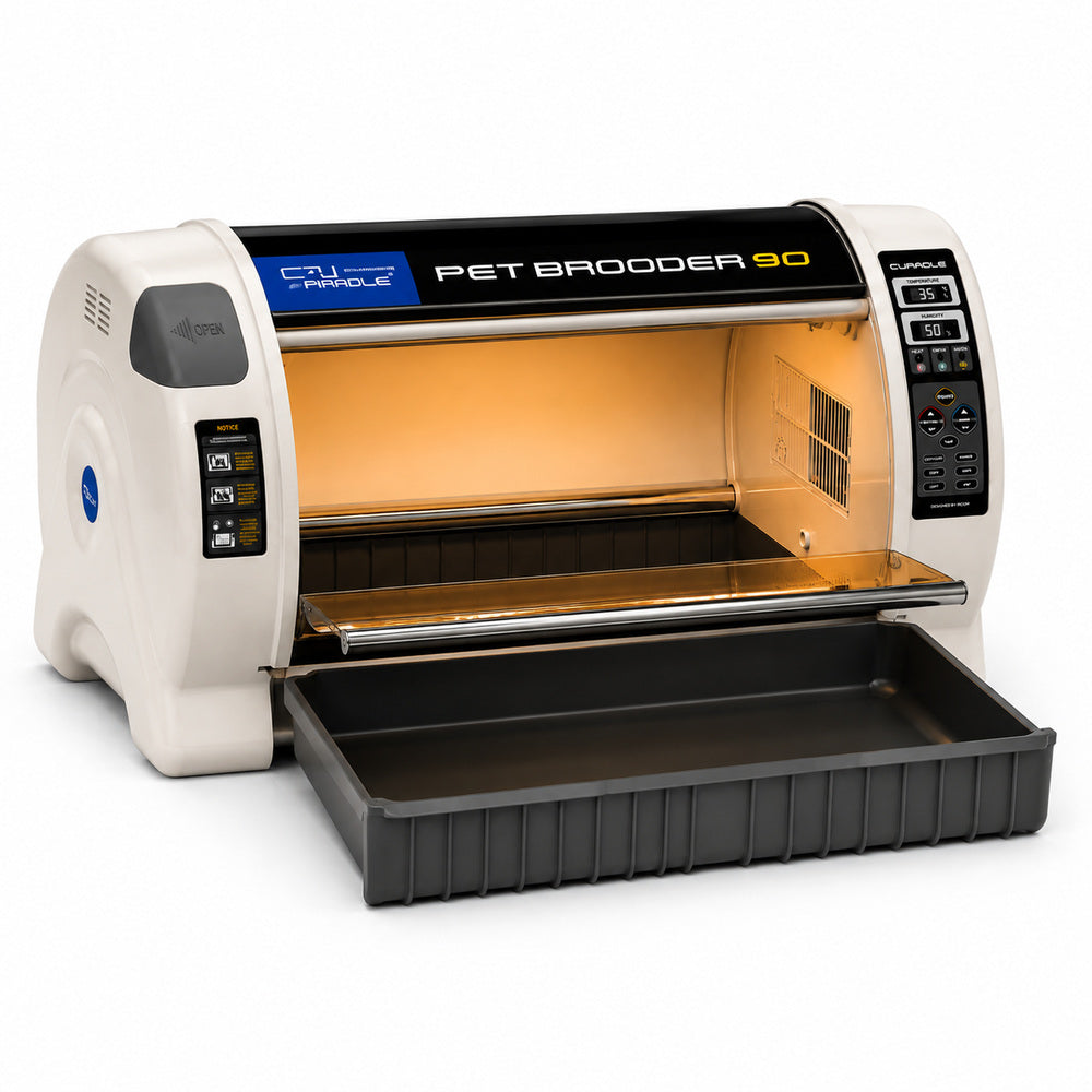 RCOM CURADLE Large PET Brooder Nursery MX-B90 N, Made in Korea (Your Local UAE Distributor)