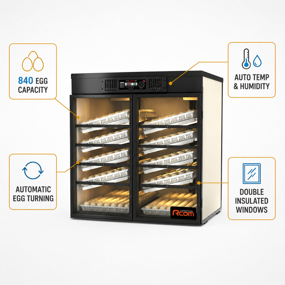 Rcom Egg Incubator 840 Eggs Capacity, Maru 1000 Deluxe Max (Made in Korea)