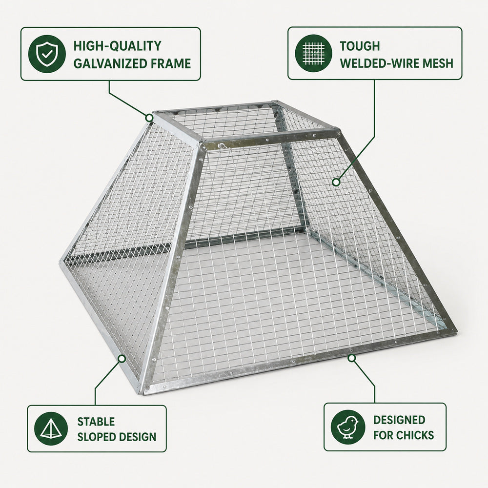 Novital Cage for Chicks (71x48cm)