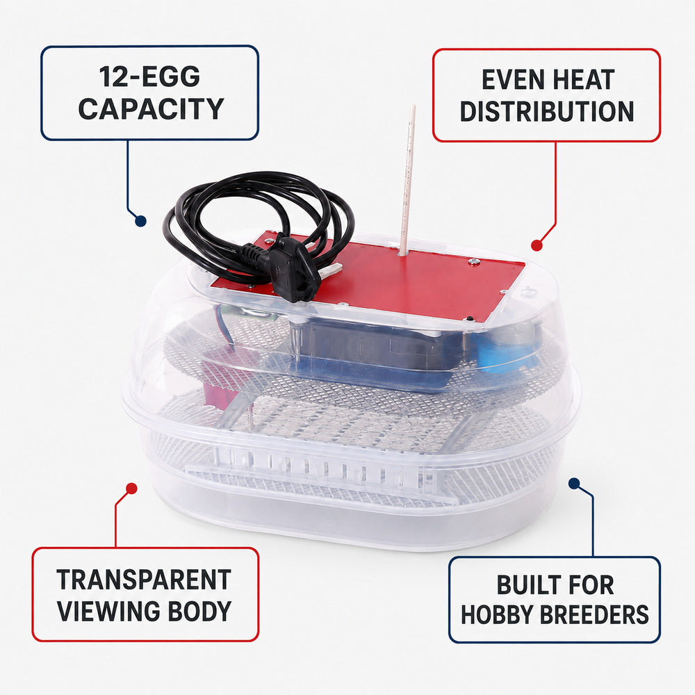 Maino Incubator (12 Eggs Capacity)