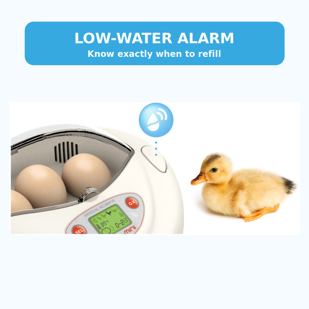 Rcom Mini PRO Incubator (PX-03) (Made in Korea)