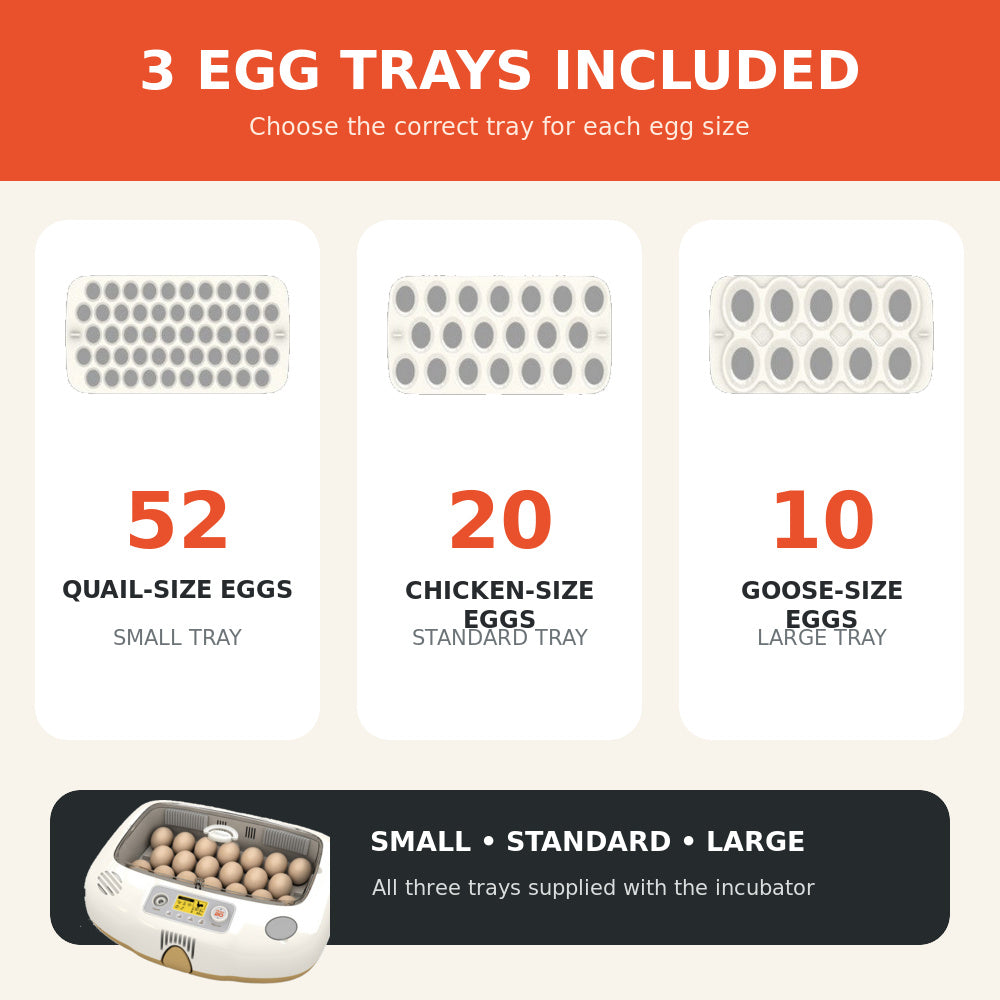 Rcom Automatic Egg Incubator for Hatching Eggs with Automatic Temperature Control, Humidity Sensor, PX-20-DO (Made in Korea)