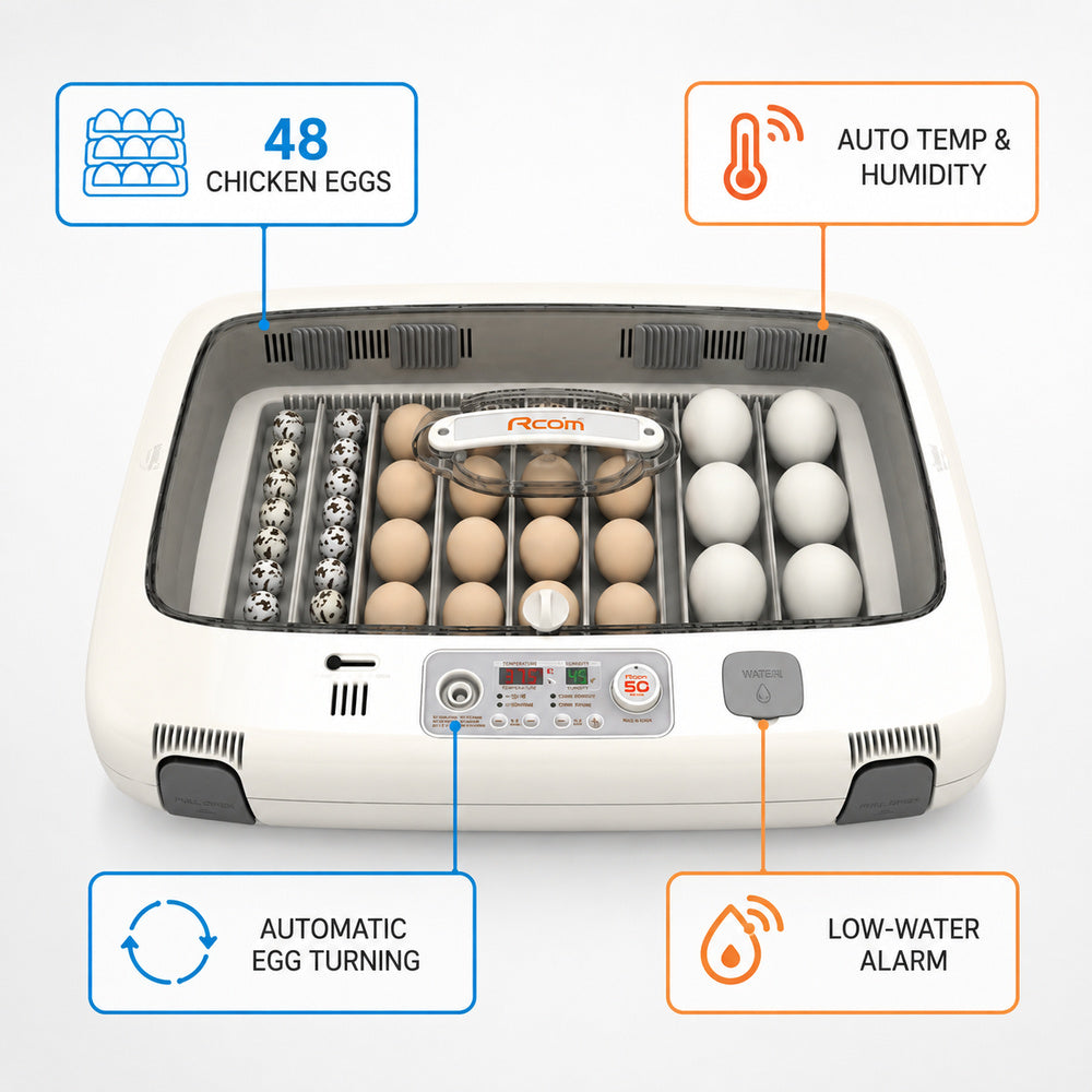 Rcom Full Automatic Egg Incubator, Poultry Hatcher, MX-50 DO (Made in Korea)