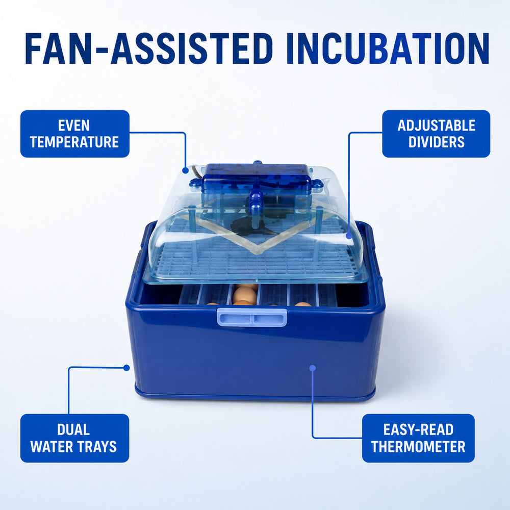 Corti 25 Eggs Automatic Incubator
