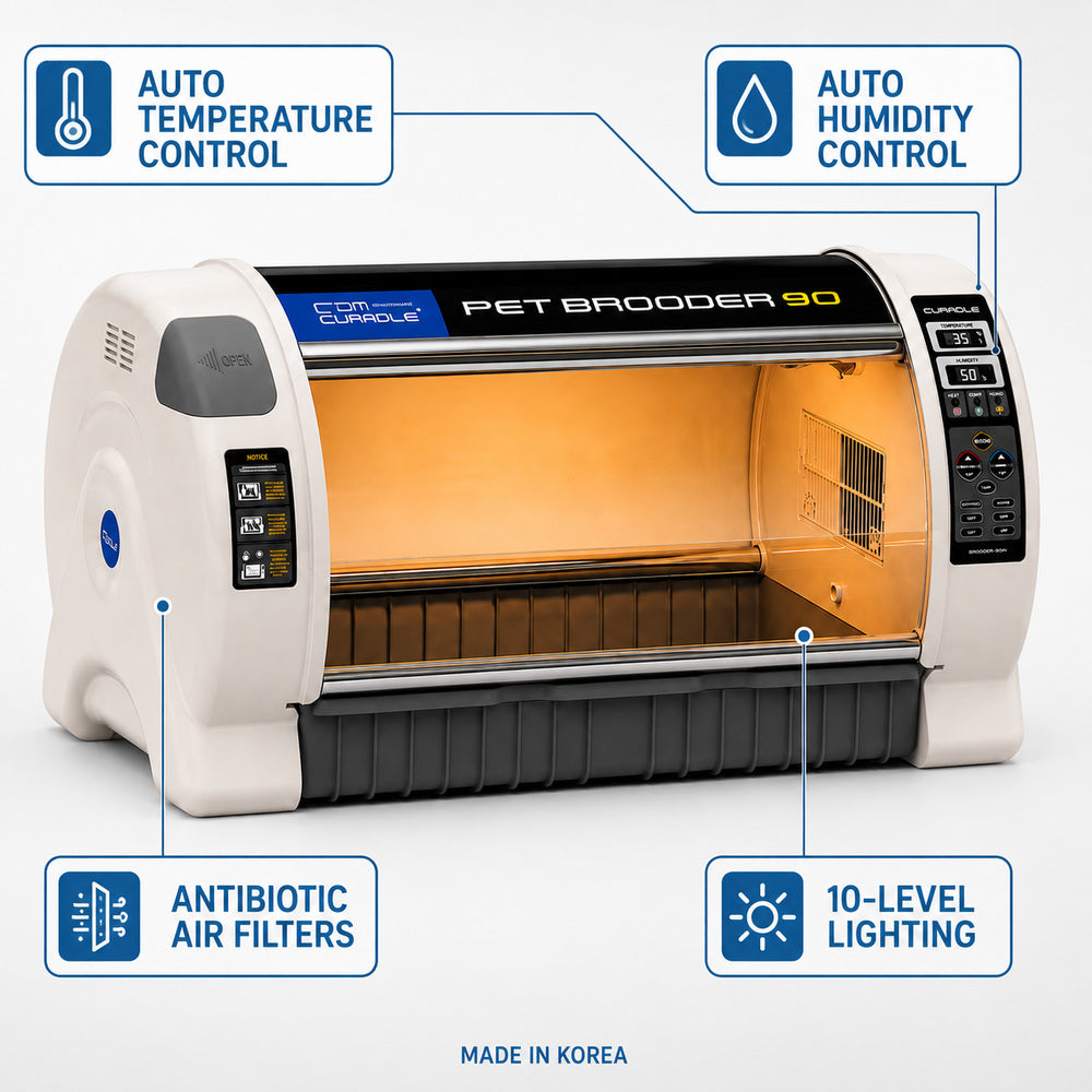 RCOM CURADLE Large PET Brooder Nursery MX-B90 N, Made in Korea (Your Local UAE Distributor)