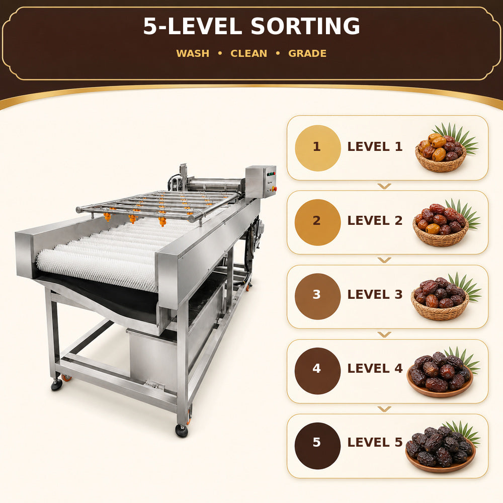 Dates/Fruits Sorting Machine (5 Level)
