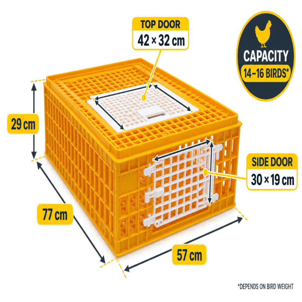 Giordano Bird Cage for Chicken and other Similar Birds, Two Door, 77x57x29 cm (Made in Italy)