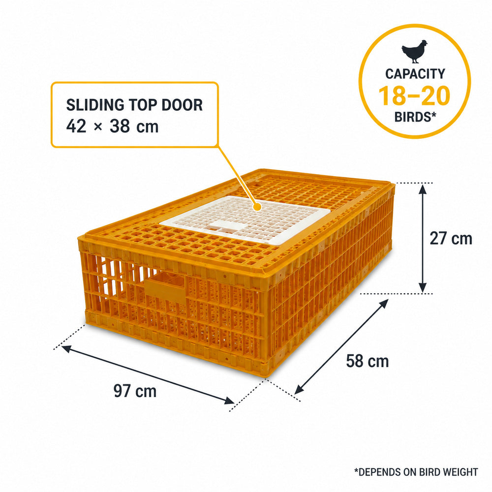 Giordano Bird Cage for Chicken and other Similar Birds, Piedmont Coop, One Door, 97x58x27 cm (Made in Italy)