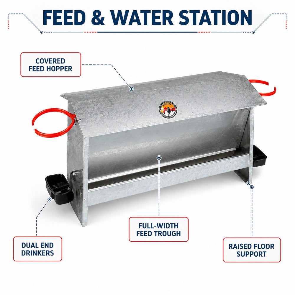 Novital Farmyard Feeder with two Drinkers for Chicken and other similar Birds (Made in Italy)