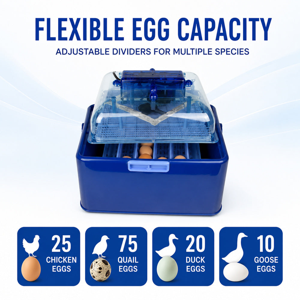 Corti 25 Eggs Automatic Incubator