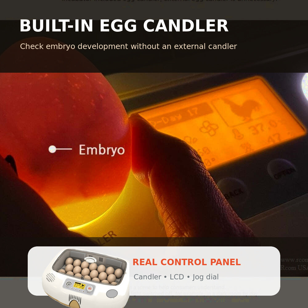 Rcom Automatic Egg Incubator for Hatching Eggs with Automatic Temperature Control, Humidity Sensor, PX-20-DO (Made in Korea)