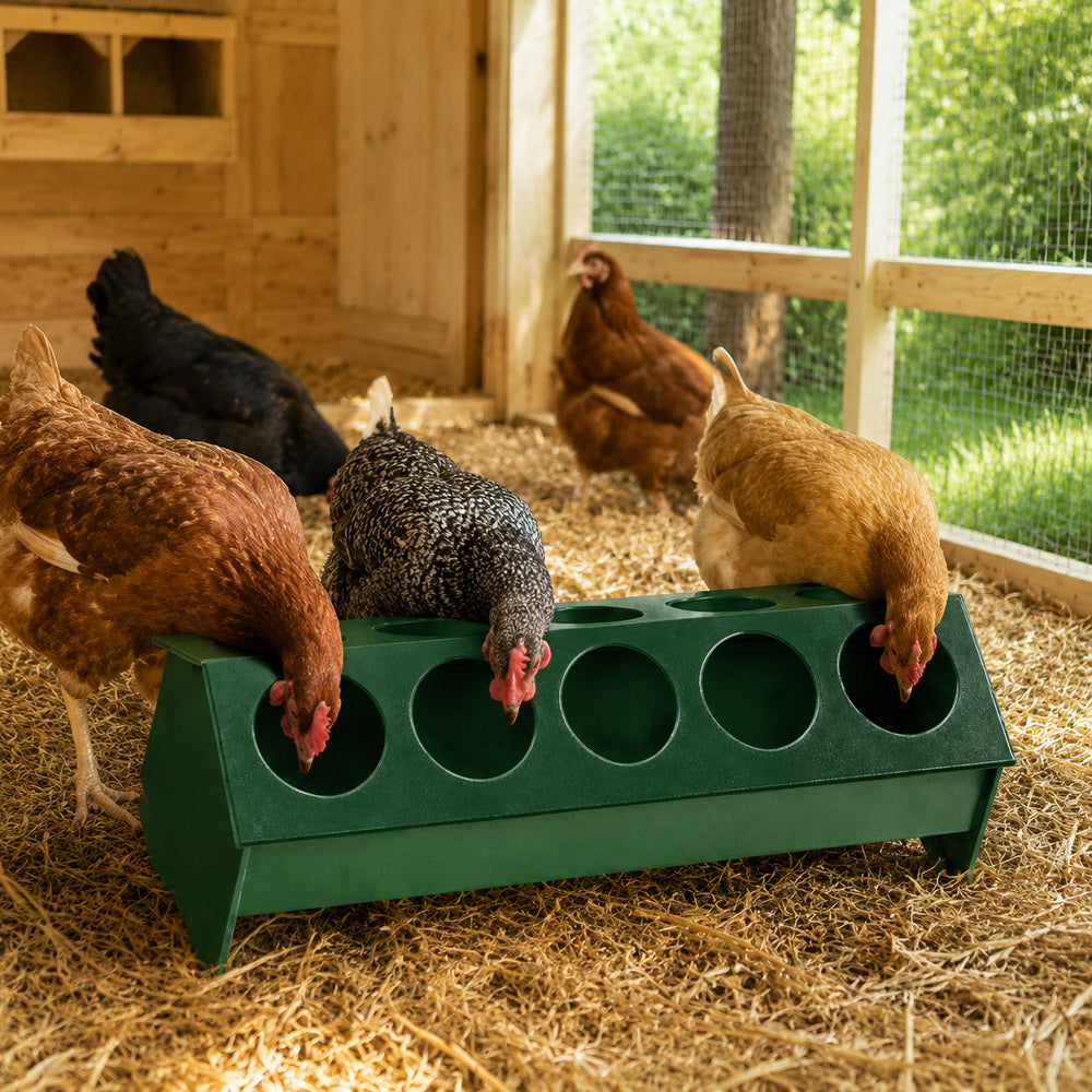 Venturi 50cm Bar Feeder with Holes for Chicken / Hen & Other Similar Birds (Made in Italy)