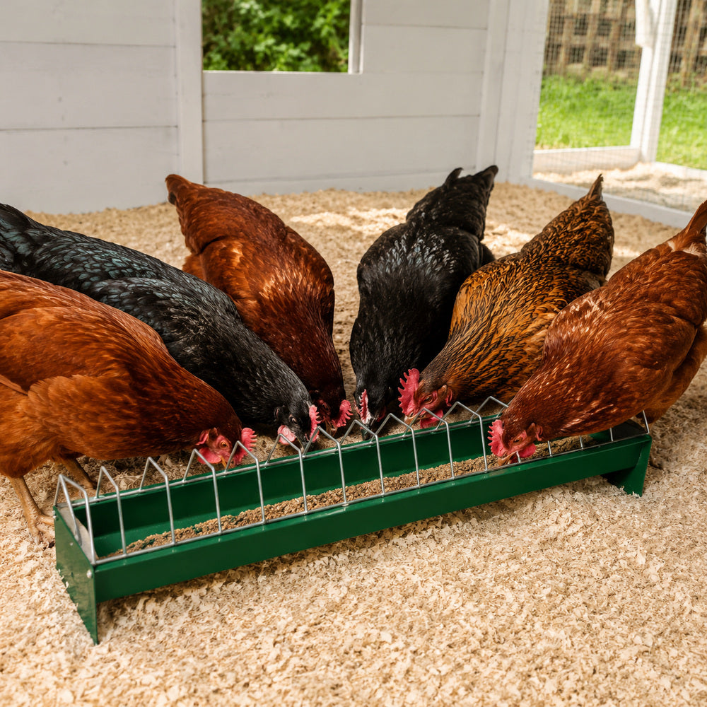 Corti 75cm Feeder for Chicken / Hen & Other Similar Birds (Made in Italy)