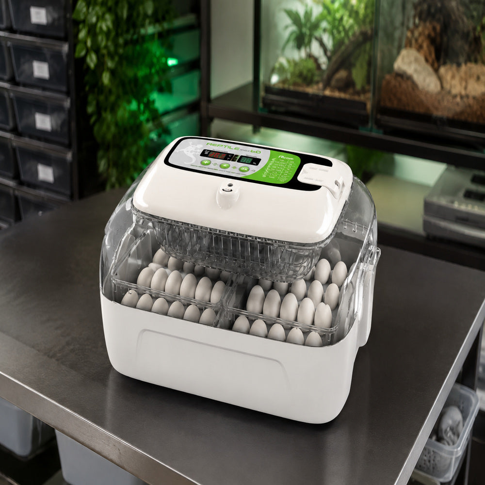 Rcom Reptile Incubator (60 Max)