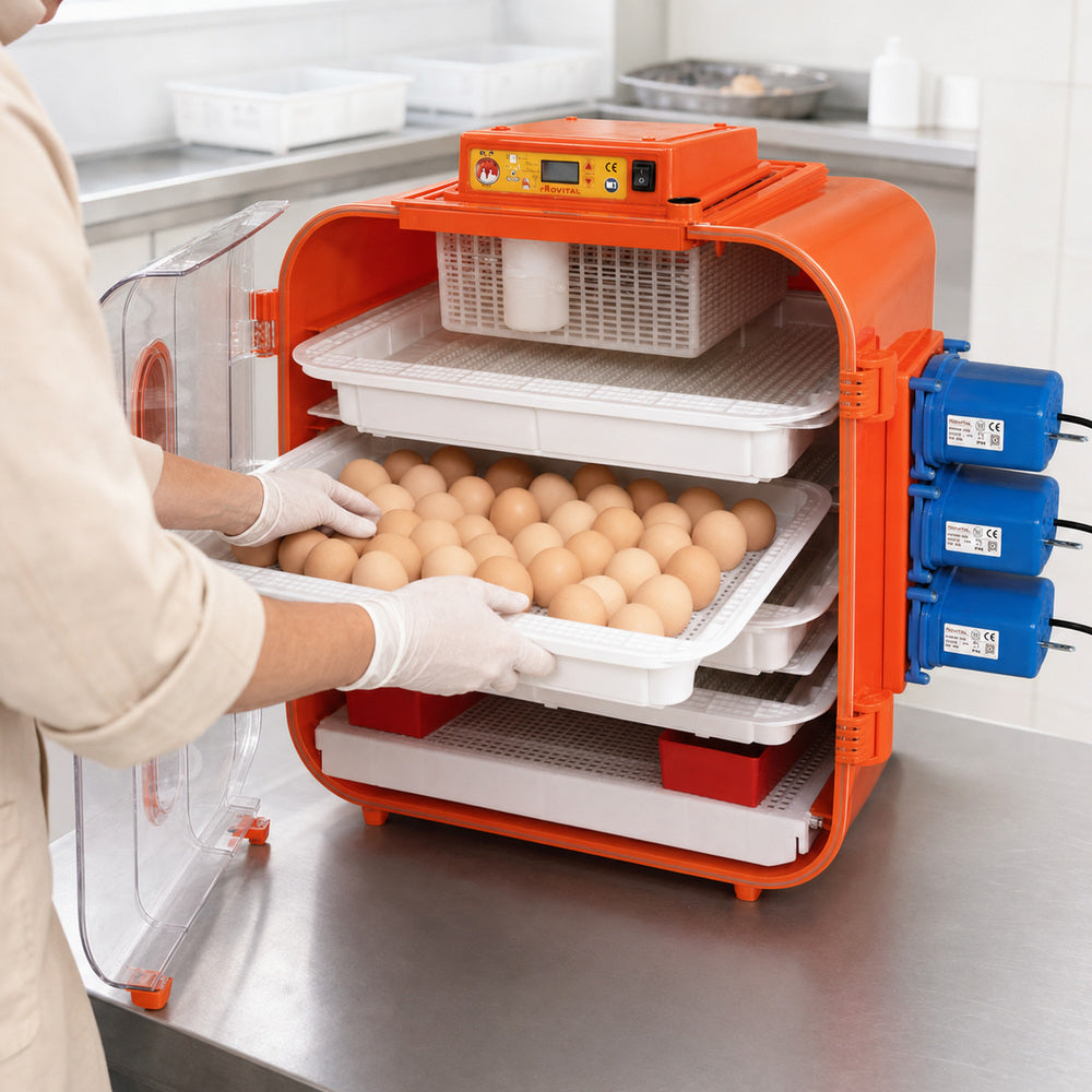 Kerbl Novital 162 eggs Full Automatic Egg Incubator for Hatching Eggs with Digital Thermometer, Poultry Hatcher, Made in ITALY, Your Local UAE Distributor