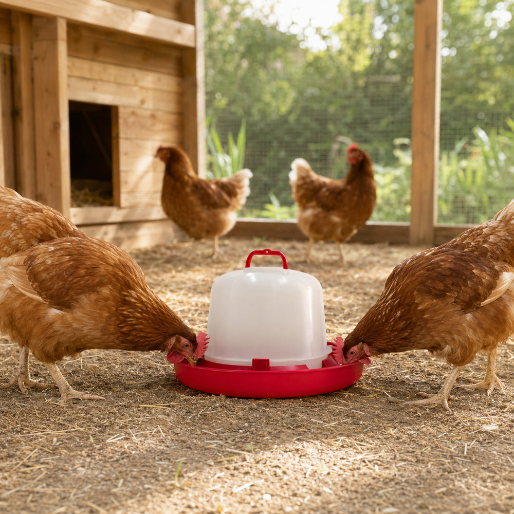 Venturi 5L Drinker For Chicken / Hen & Other Similar Birds with Handle