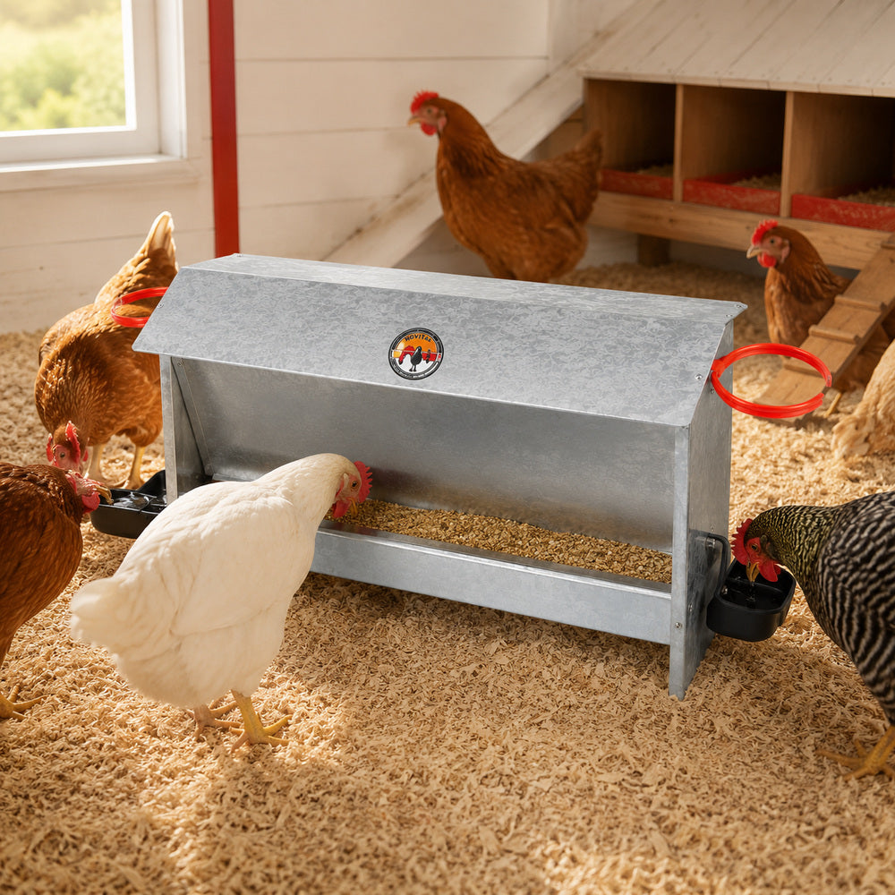 Novital Farmyard Feeder with two Drinkers for Chicken and other similar Birds (Made in Italy)