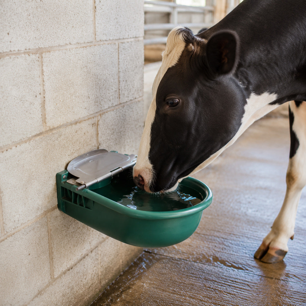 Drinking Bowl 4 Liter Capacity with Stainless Steel Lid and Plastic Bowl